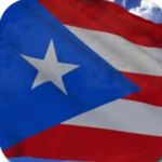 Logo of 3D Puerto Rico Flag LWP android Application 